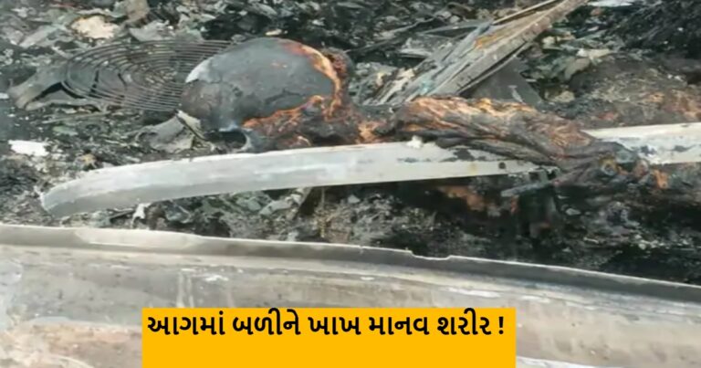 આંધ્ર પ્રદેશના કર્નૂલમાં બાઈકની ટક્કર બાદ બસમાં આગ..20થી વધુના મોત આ ફોટો વિચલિત કરી શકે છે