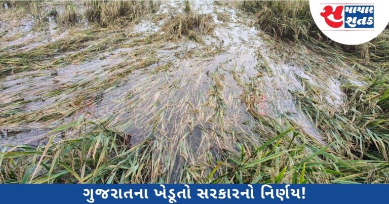 માવઠાનો માર સહન કરી રહેલા ખેડૂતો માટે સરકાર ટૂંક સમયમાં રાહત પેકેજની કરશે જાહેરાત