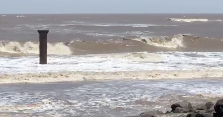 ગુજરાતનો દરિયાકાંઠો બન્યો રાજ્યની આર્થિક સમૃદ્ધિનો પ્રવેશદ્વાર