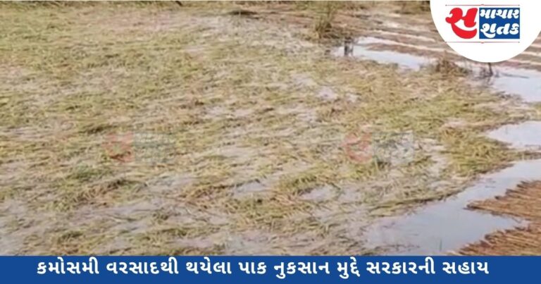 ગુજરાત સરકારે ખેડૂતોની સહાયતા માટે 10 હજાર કરોડનું સહાય પેકેજ જાહેર કર્યુ