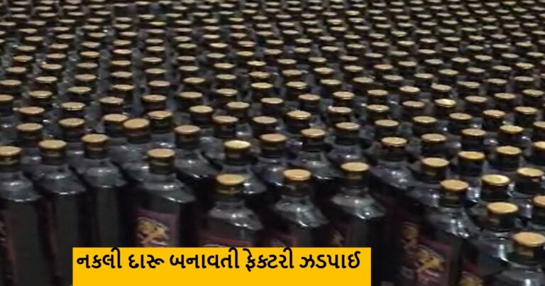 પોલીસે નકલી દારૂ બનાવતી ફેક્ટરી ઝડપી એકને સકંજામાં લીધો