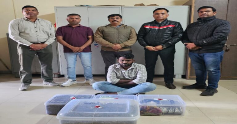 તાપી SOGએ ગાંજાના જથ્થા સાથે શખ્સની કરી ધરપકડ