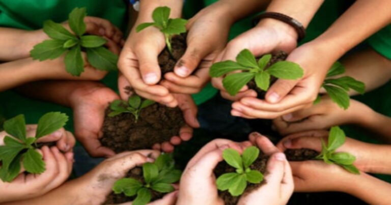 ગુજરાતની ૧૮૫ નદીઓના બંન્ને કાંઠાની જમીન પર ‘વૃક્ષ ઉછેર ઝુંબેશ’ હાથ ધરાશે