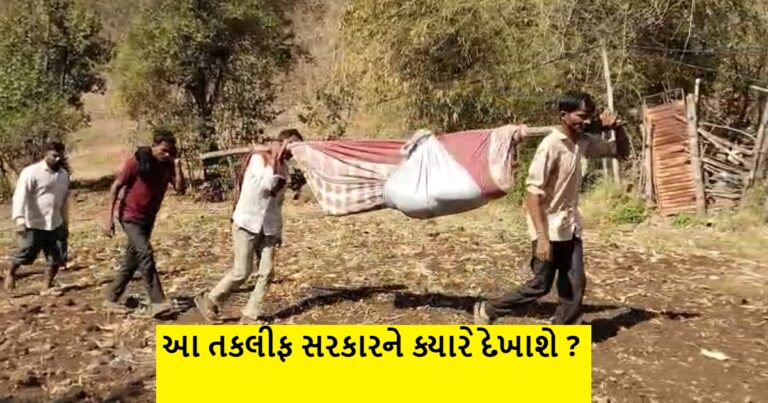 આઝાદી પછી પણ રસ્તાનો અભાવ હોવાથી સ્થાનિકો ડુંગરા ઓળંગવા મજબૂર