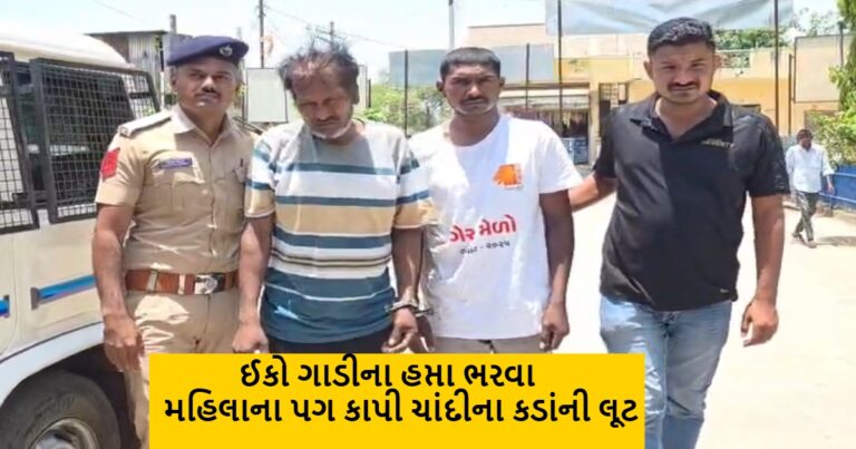 નસવાડીમાં વૃદ્ધાના પગ કાપી કડાંની લૂંટનાર બે શખસોની ધરપકડ
