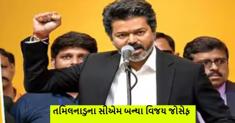 તમિલનાડુમાં થલાપતિ વિજય સીએમ બનતા જ 200 યુનિટ ફ્રી વીજળીની જાહેરાત