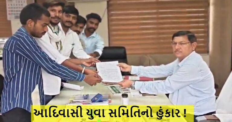 જિલ્લા અને તાલુકા પંચાયતના પ્રમુખો બન્યા છે તેમના જાતિના પ્રમાણ પત્રની ચકાસણી કરવા આવેદન પત્ર