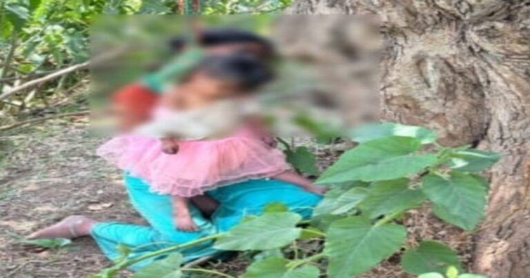 નર્મદા: સવા વર્ષની દીકરીને ફાંસો આપી માતાએ પણ જીવન ટૂંકાવ્યું