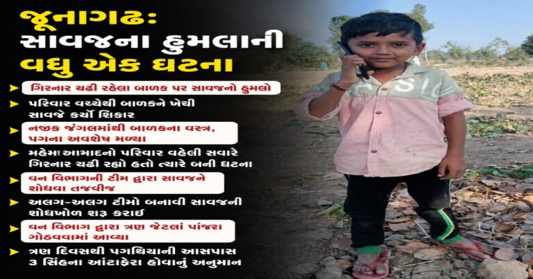 ગિરનારમાં માસૂમના મોત બાદ સરકારની બેદરકારી અને નિષ્ક્રિયતા પર ઉઠ્યા ગંભીર સવાલો