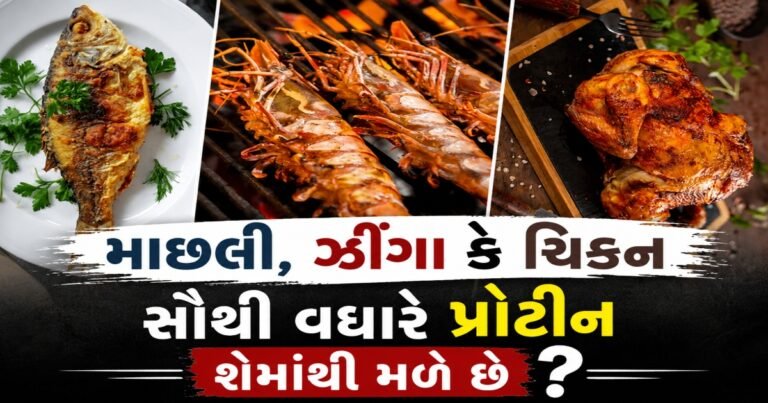 ચિકન-માછલી કે ઝીંગા સૌથી વધારે પ્રોટીન શેમાંથી મળે છે..?